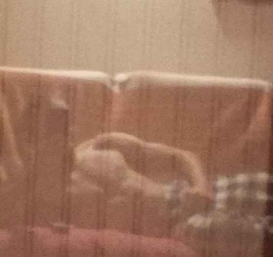 Profil de Zeynel, 24 ans, Plan Cul à Ain Leghda